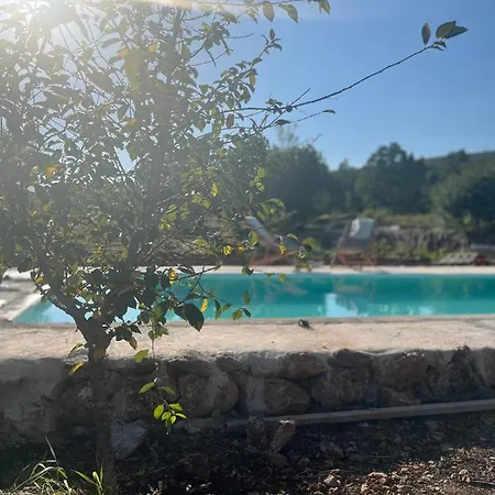 Dom wakacyjny “vuko” Trilj