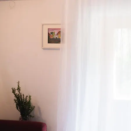 “vuko” *